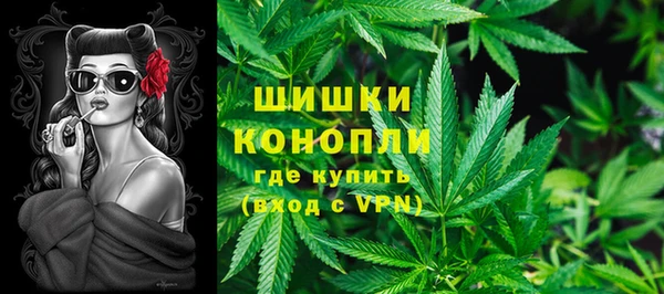 индика Абаза