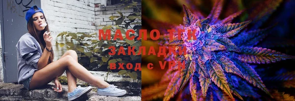 индика Абаза