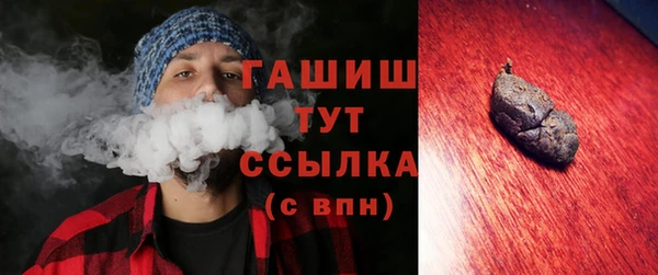 индика Абаза