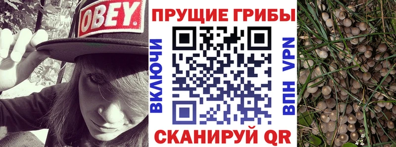 Галлюциногенные грибы мицелий hydra ссылка Усть-Катав